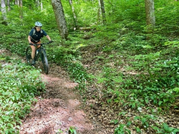 Lady Bike Day
